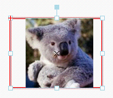 Click to reduce