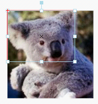 Click to reduce