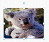 Click to reduce