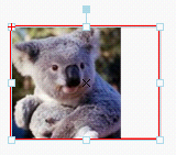 Click to reduce